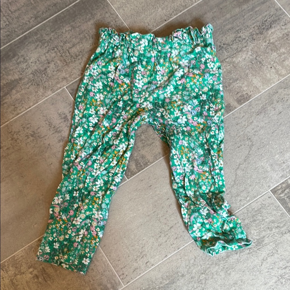 2/$10 Carter’s Floral Green Pants